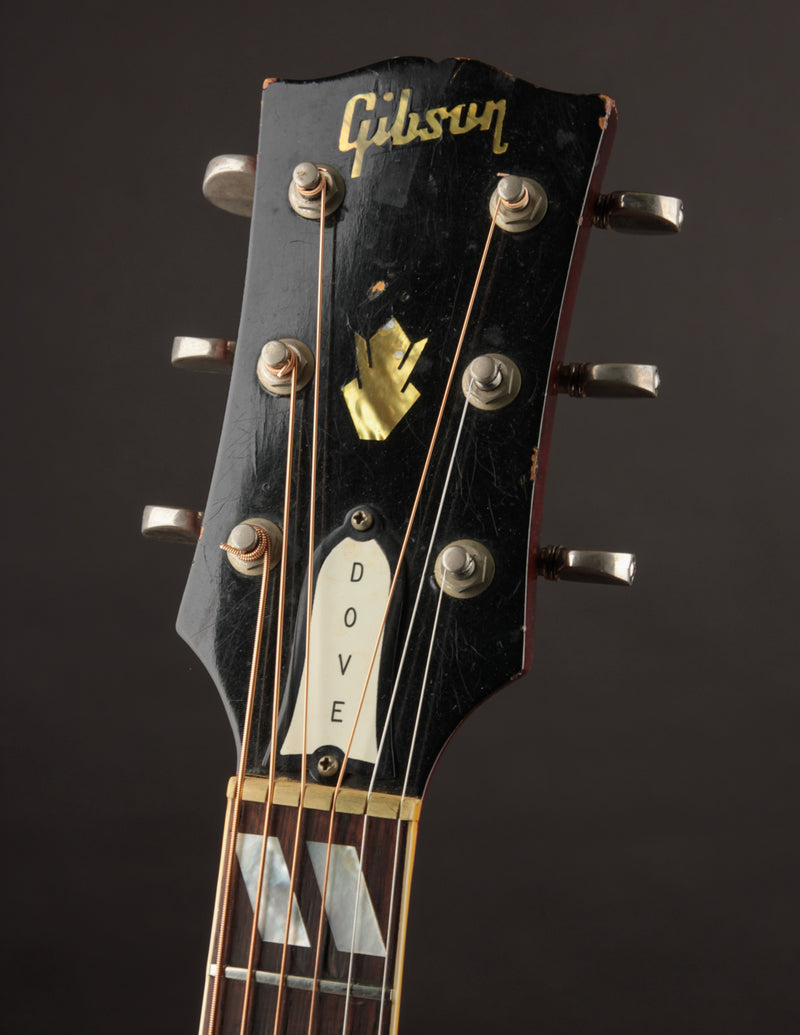 Gibson Dove, Natural (1968)
