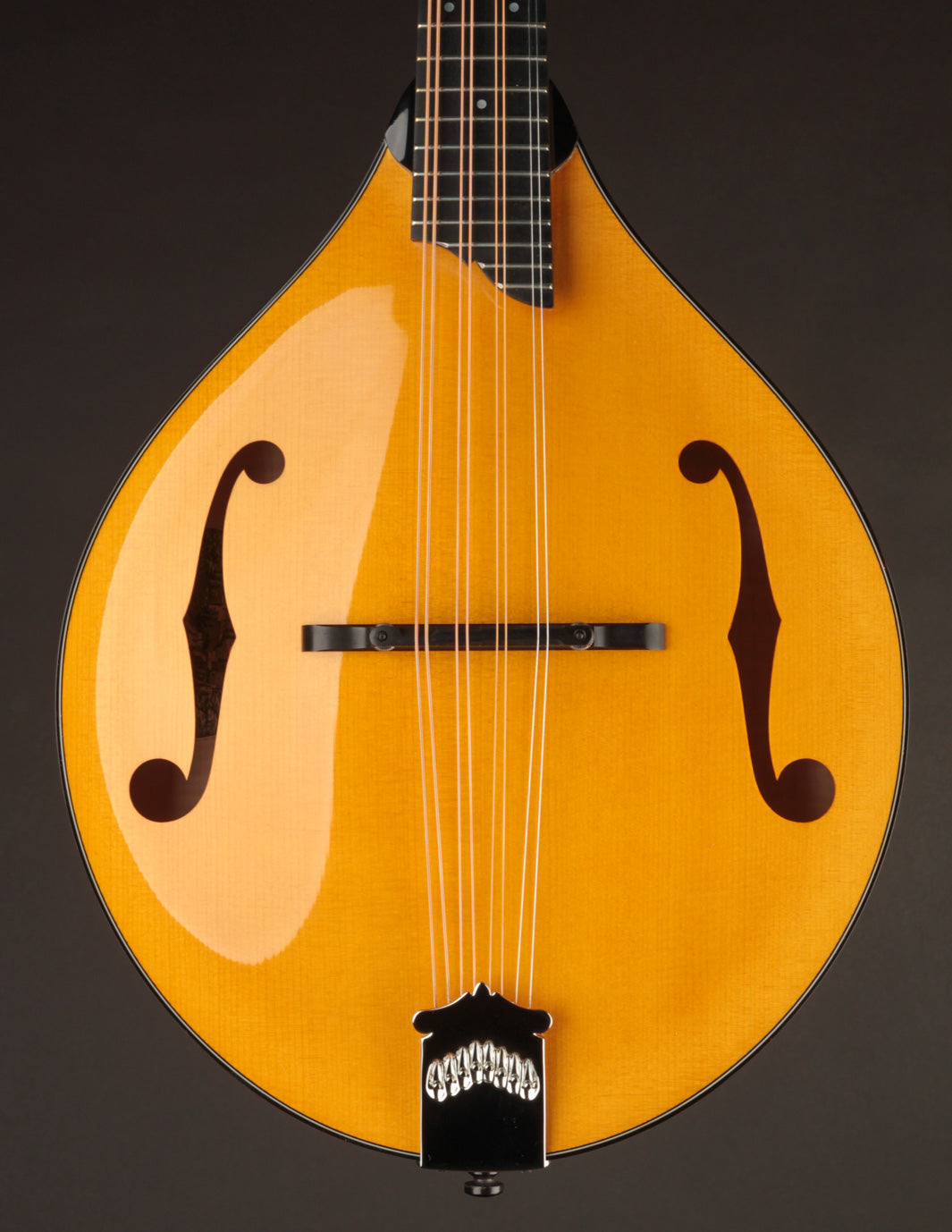 Collings MT2 Mandola Honey Amber