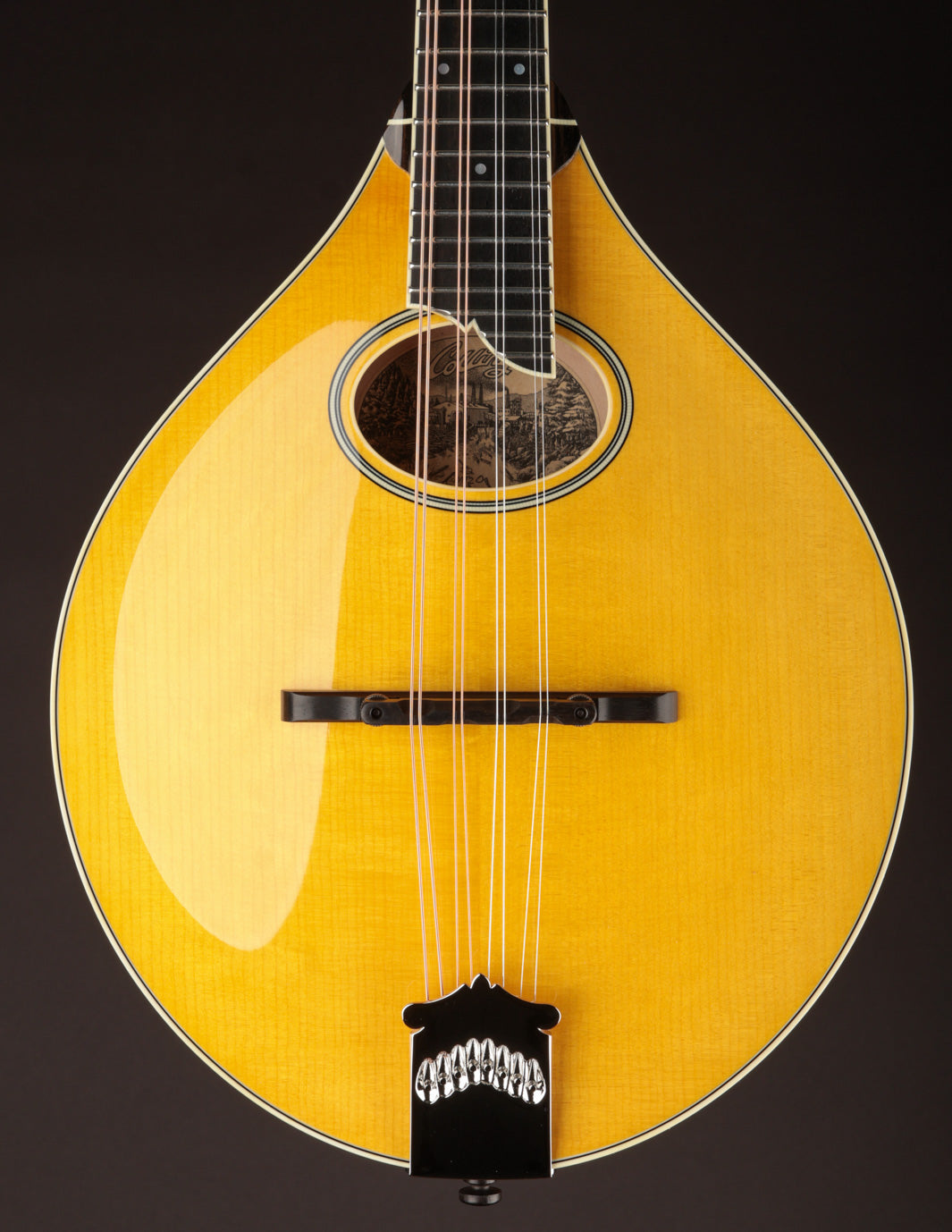 Collings MT2-O Honey Amber w/ Ivoroid Binding