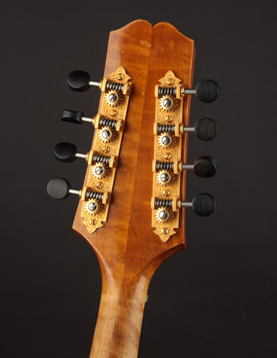 Campanella Dué 2-Point Light Amber (USED, 2020)