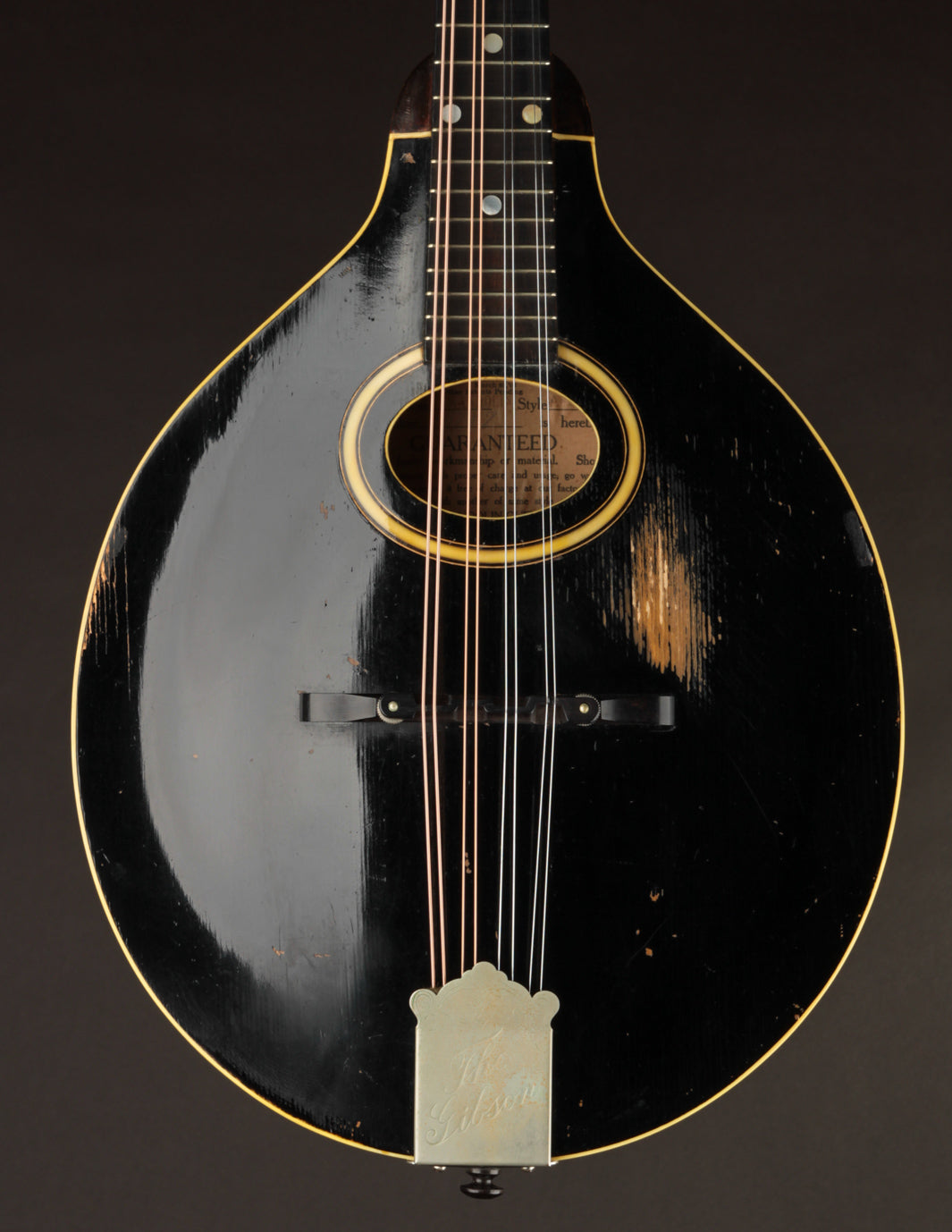 Gibson A1 Snakehead (1924)