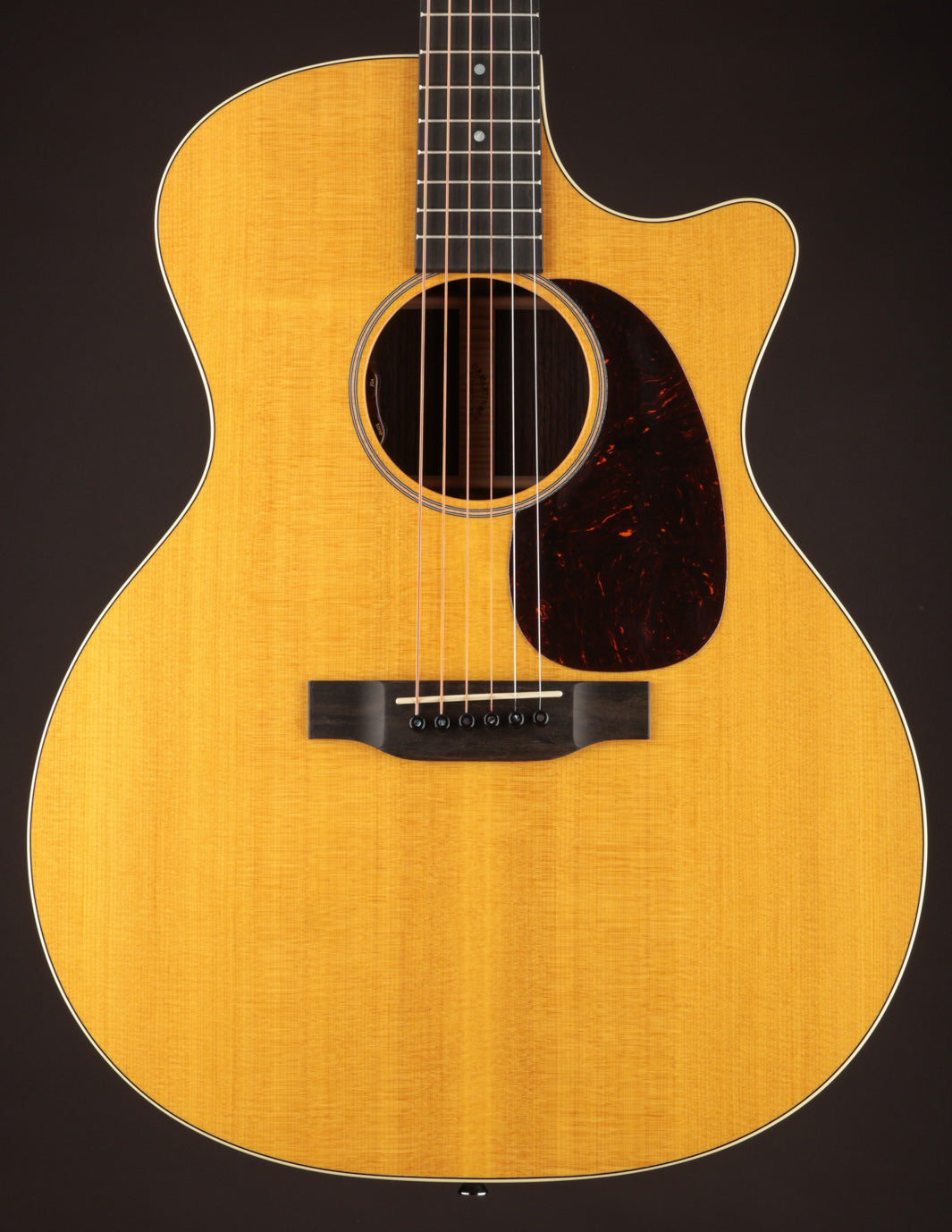 Martin GPC-16E Rosewood