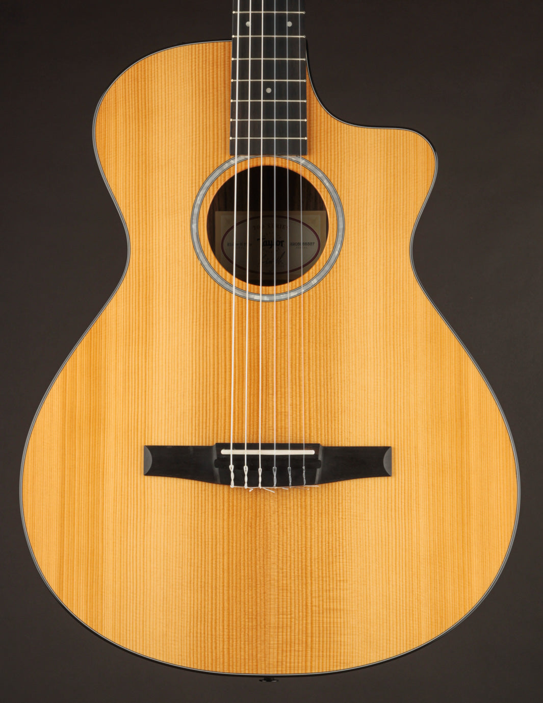 Taylor 212CE-N Nylon Plus
