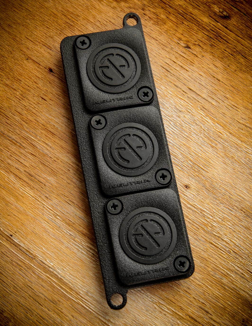Temple Audio Mini Module Punched Plate