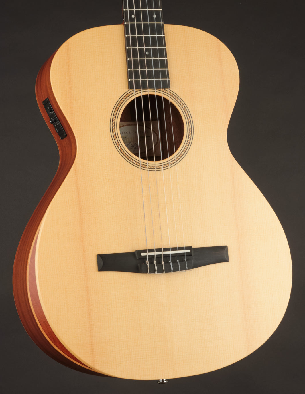 Taylor - Academy 12e-N Nylon