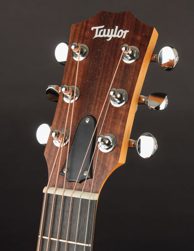 Taylor GS Mini-E Rosewood