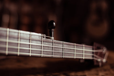 Reiter Banjos