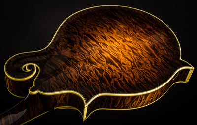 In Stock Collings Mandolins