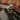 Player Favorites: Electric Guitars