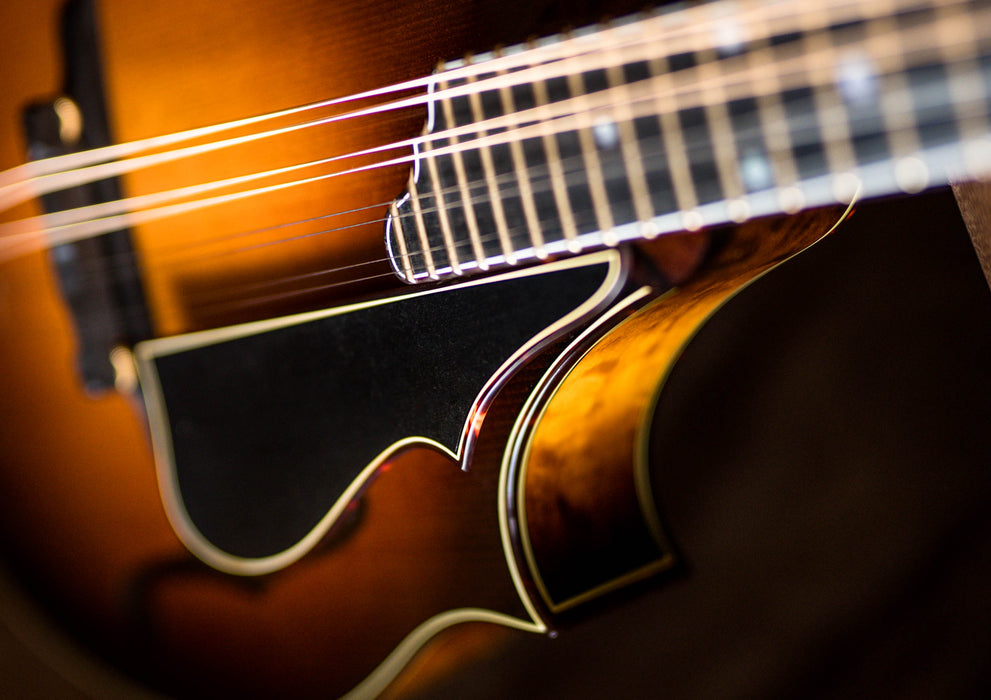Pava Mandolins | The Music Emporium
