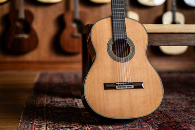 Guitarras Esteve 