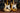 TME-Spec'd Grosh Guitars NOS Retro TB