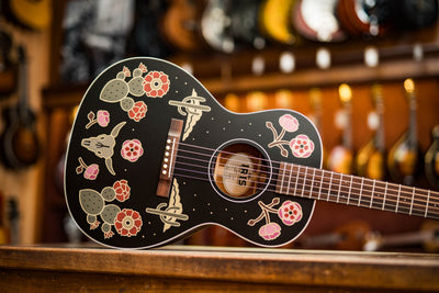 Iris Guitars