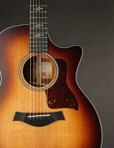 Taylor | 300 Series Guitars