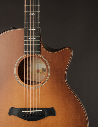 Taylor | 600 Series Guitars