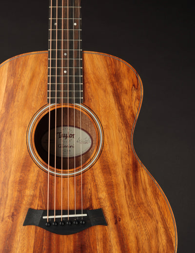 Taylor GS Mini