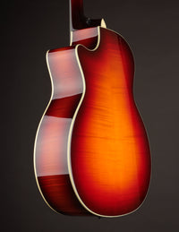 Taylor Custom #18 C14ce Big Leaf Maple & Lutz