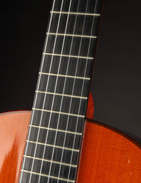 Ramirez Tradicional 1A Cedar & Indian (1980)