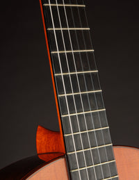 Ramirez Tradicional 1A Cedar & Indian (1980)