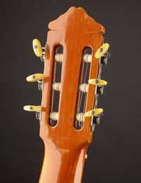 Manuel Reyes Brazilian (1966)