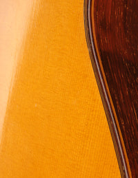 Manuel Reyes Brazilian (1966)