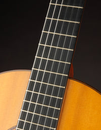 Manuel Reyes Brazilian (1966)