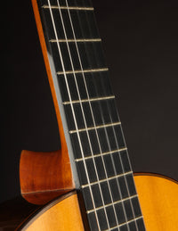 Manuel Reyes Brazilian (1966)