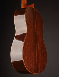 Manuel Reyes Brazilian (1966)