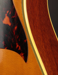 Gibson Country Western (USED, 1964)