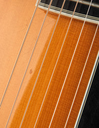Collings AT-17 (USED, 2000)