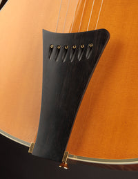 Collings AT-17 (USED, 2000)