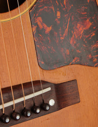 Gibson J-50 (1955)