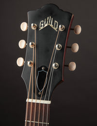 Guild M-20 (USED, C. 1965)