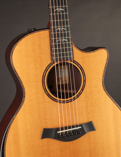 Taylor 914ce (USED, 2022)