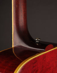 Gibson Dove, Natural (1968)
