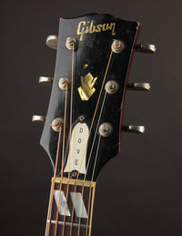 Gibson Dove, Natural (1968)