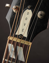 Gibson Dove, Natural (1968)