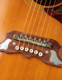Gibson Dove, Natural (1968)