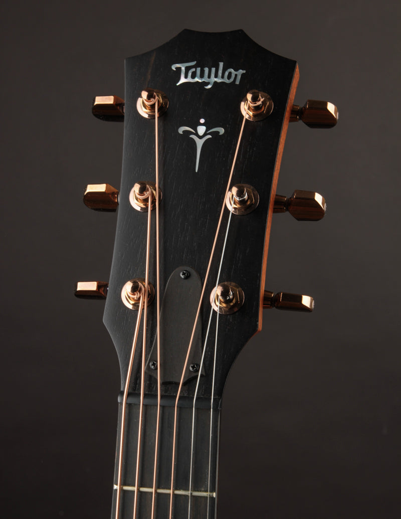 Taylor 724CE (USED, 2022)