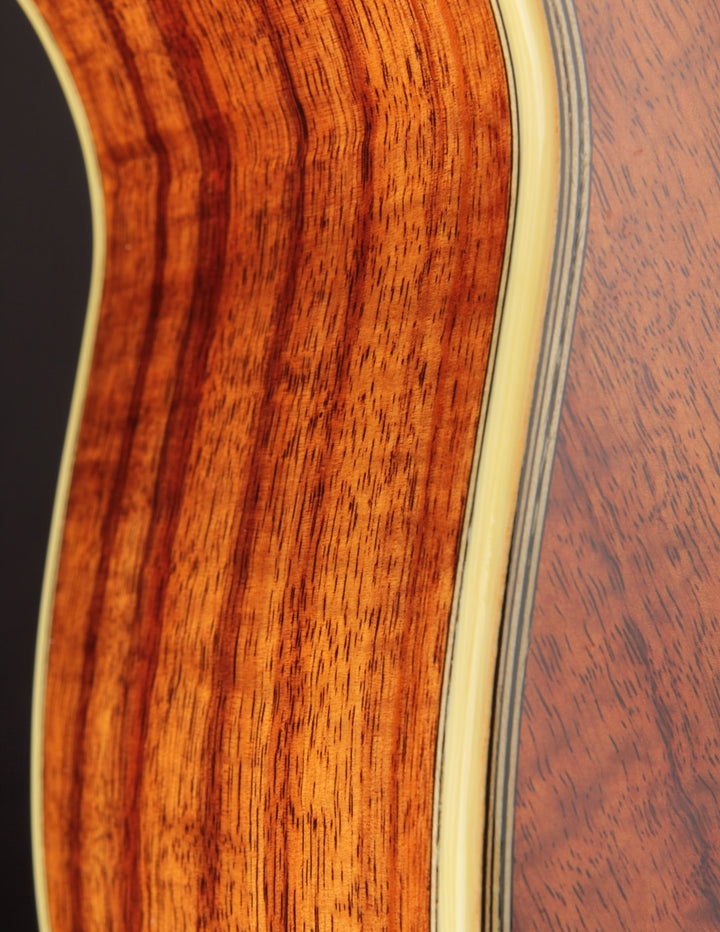 邦楽 CHOUJI C&K ORIGINAL Carvin Craig Chaquico Signature 12-String Thinline Acoustic