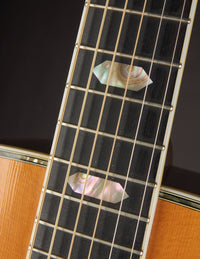 Martin D-41 (1980)