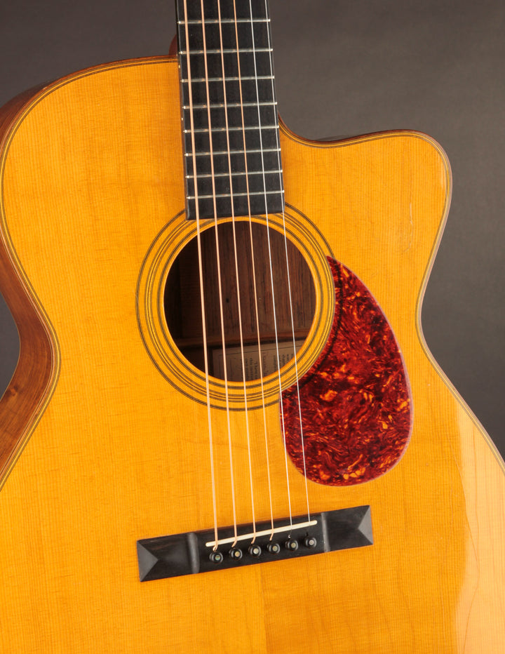 Shoenberg Soloist 1990 (Thompson) Martin ギター
