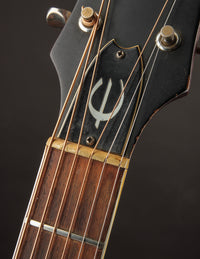 Epiphone FT-90 El Dorado Natural (1968)