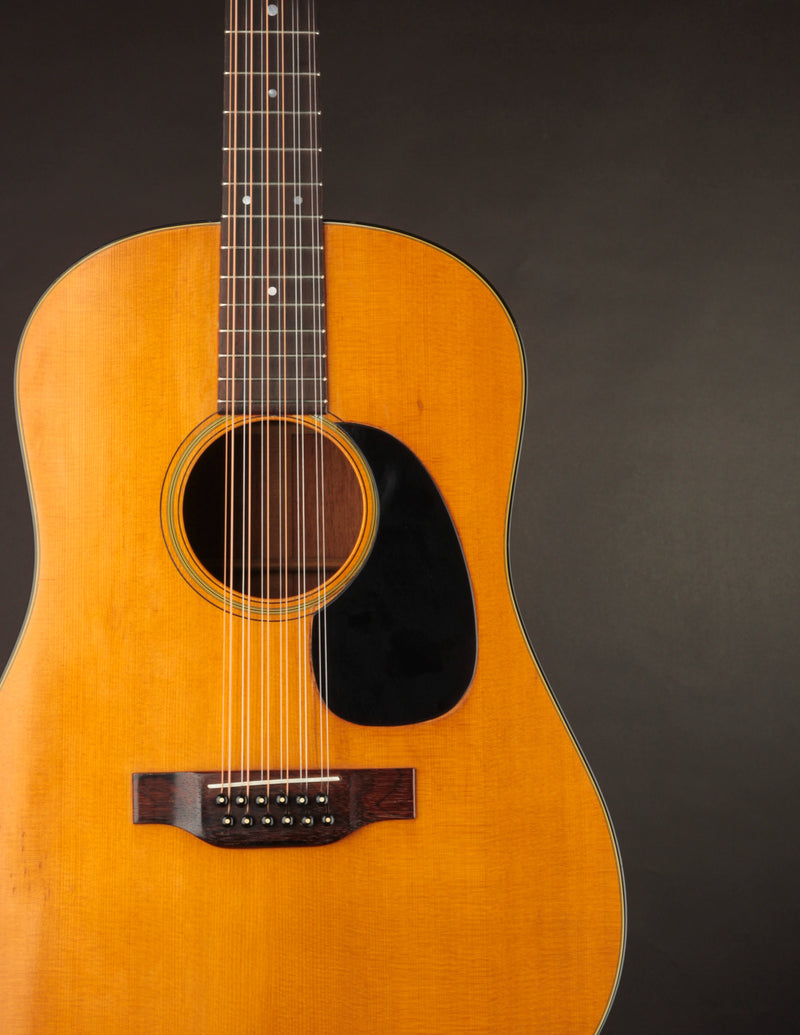 Martin D12-20 (1969)