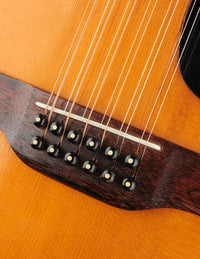 Martin D12-20 (1969)