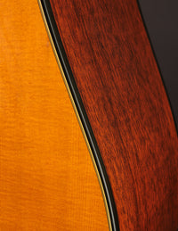 Martin D12-20 (1969)