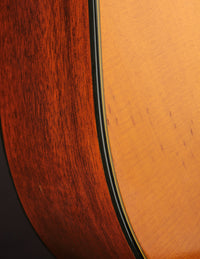 Martin D12-20 (1969)