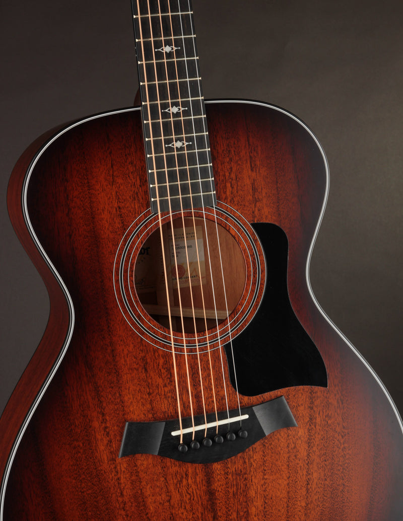 Taylor 322 (USED, 2023)