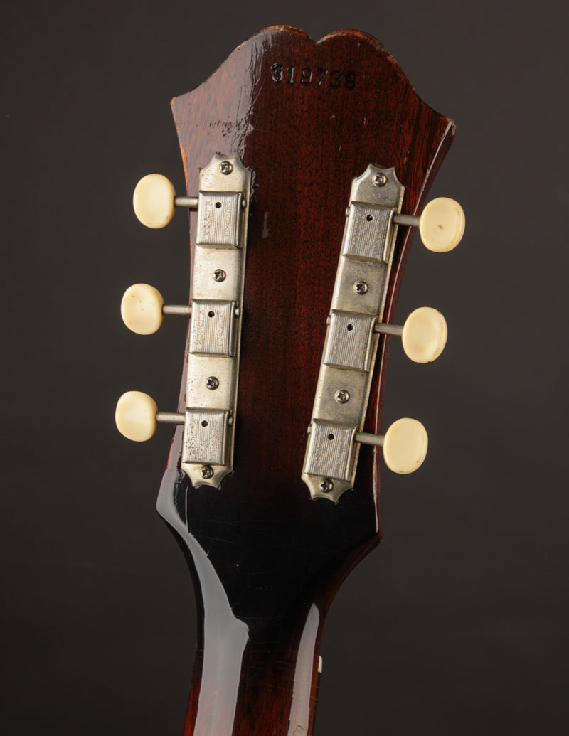 Epiphone Cortez (1965)