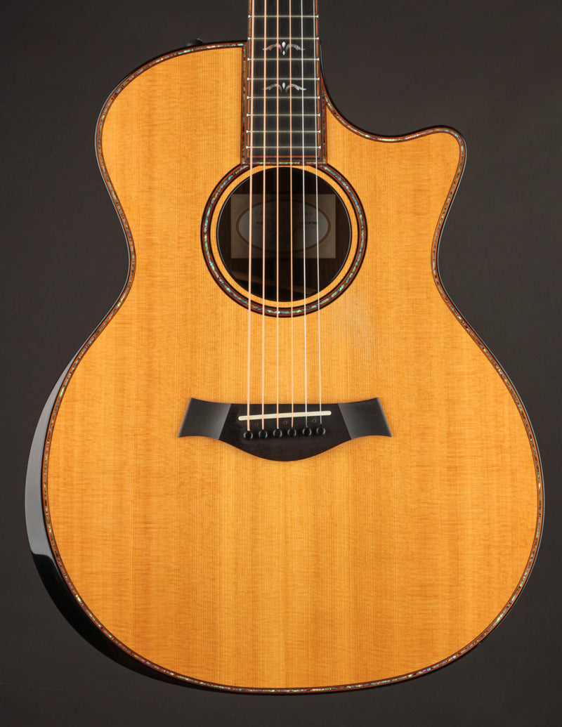 Taylor 914ce (USED, 2017)